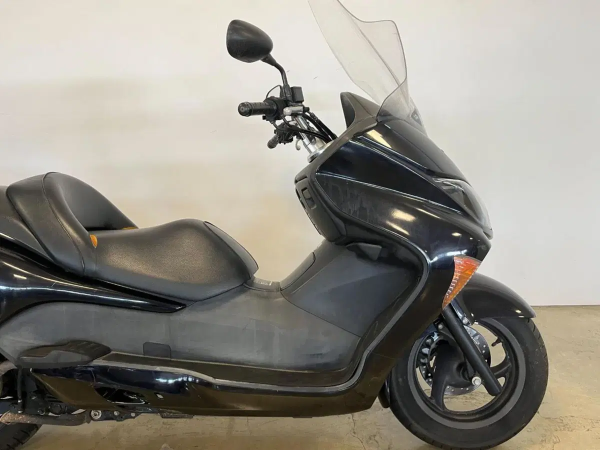 Honda Forza 250 EX (2005 - 07) (5)