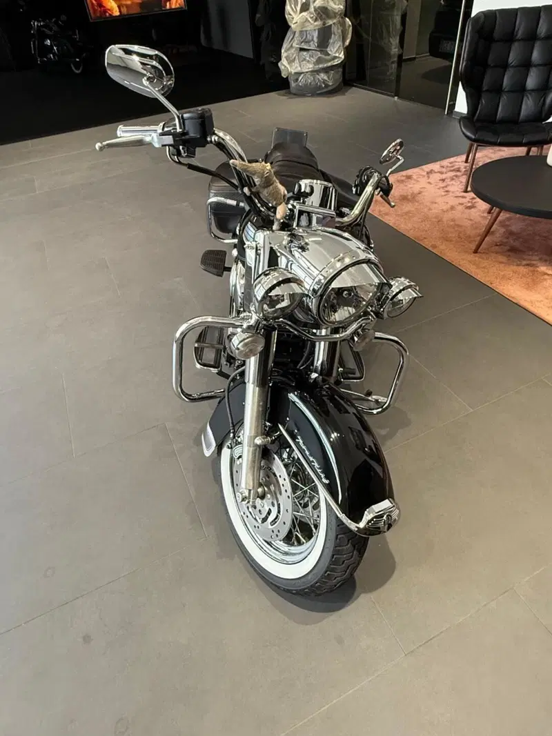 Harley-Davidson 1450 Road King Classic (2003 - 05) - FLHRCI (8)