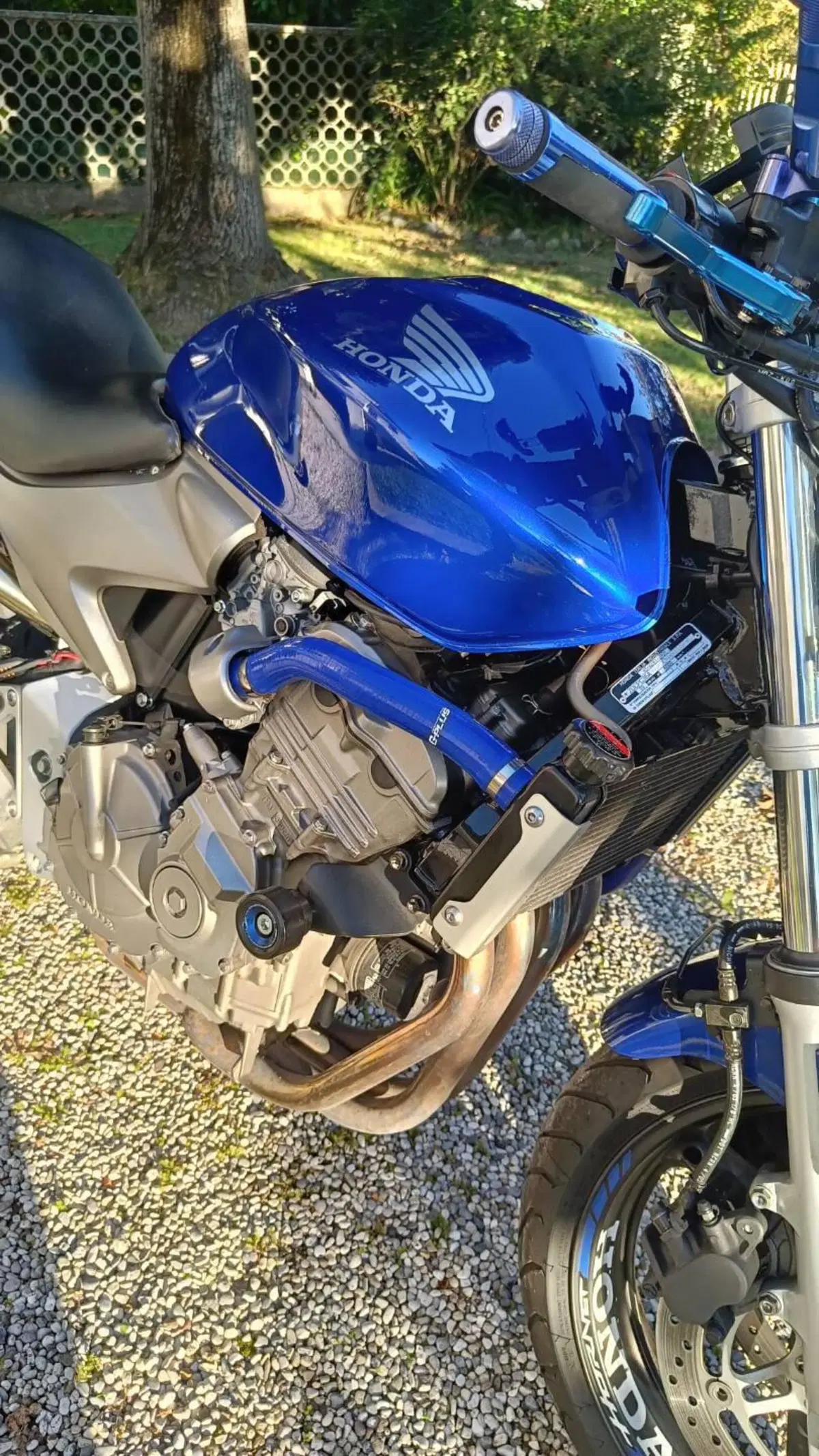Honda Hornet 600 (2003 - 04) (2)