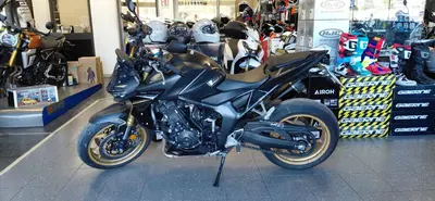 Honda CB 1000 Hornet SP (2025 - 26) usata