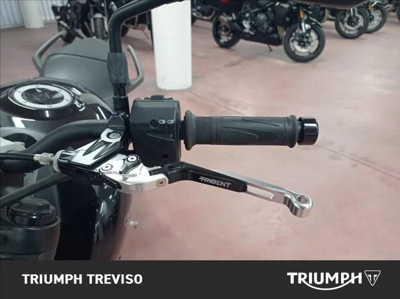 Triumph Trident 660 (2021 - 24) (3)