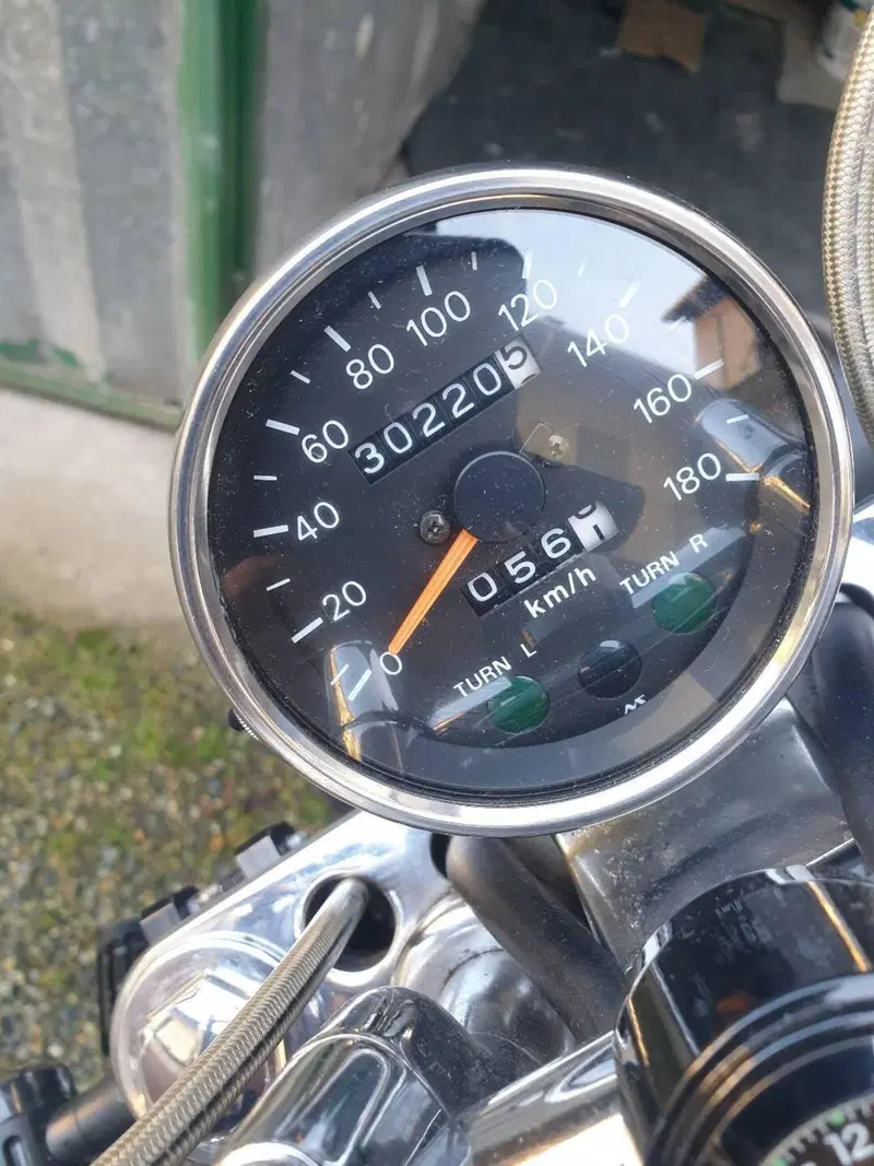 Suzuki VS 800 GL Intruder (1994 - 98) (6)