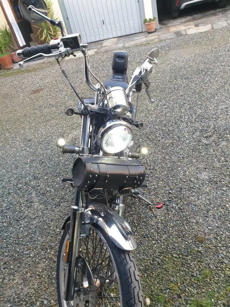 Suzuki VS 800 GL Intruder (1994 - 98) (4)