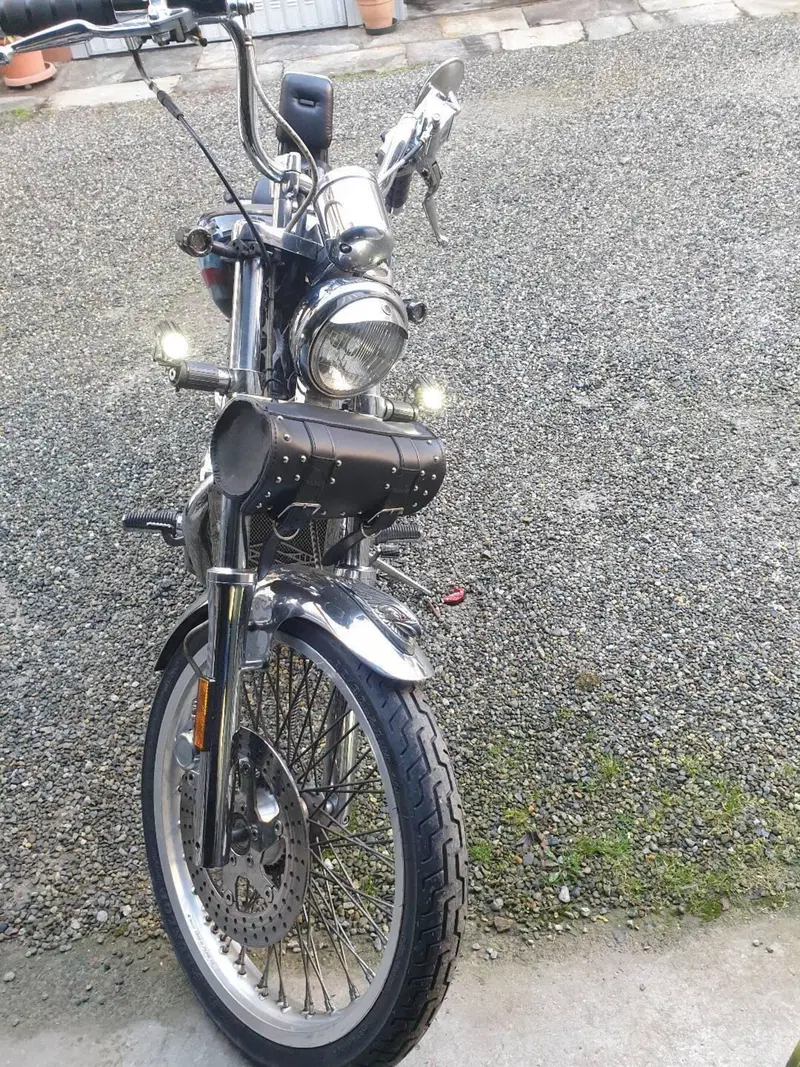 Suzuki VS 800 GL Intruder (1994 - 98) (8)