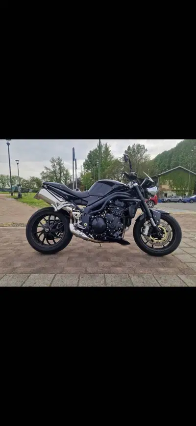 Triumph Speed Triple 1050 (2005 - 11) usata