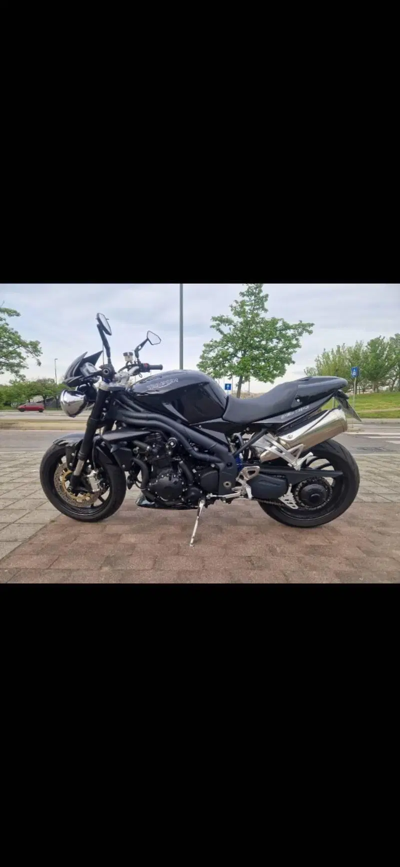 Triumph Speed Triple 1050 (2005 - 11) (2)