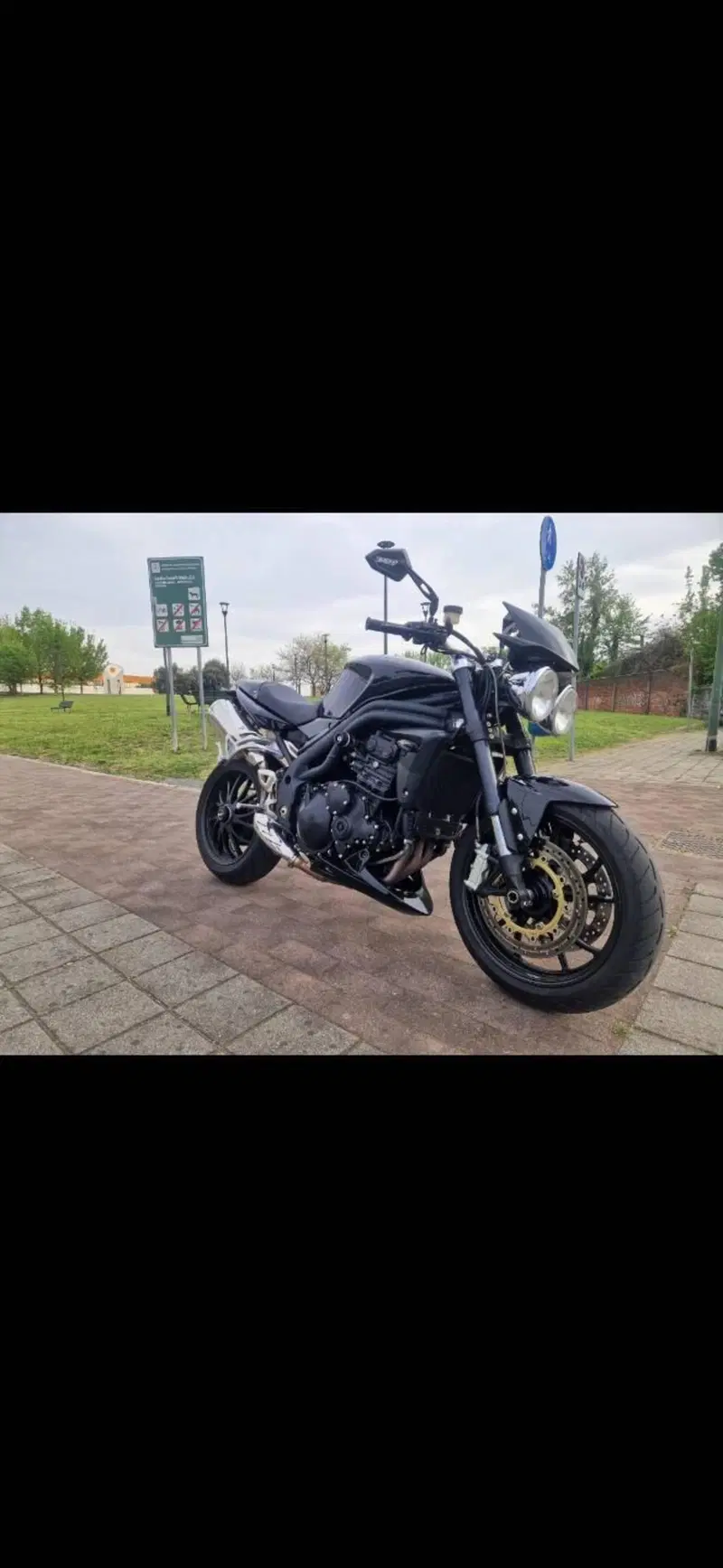 Triumph Speed Triple 1050 (2005 - 11) (3)