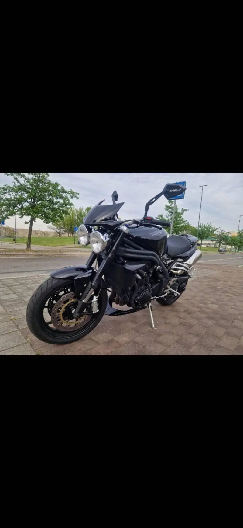 Triumph Speed Triple 1050 (2005 - 11) (4)