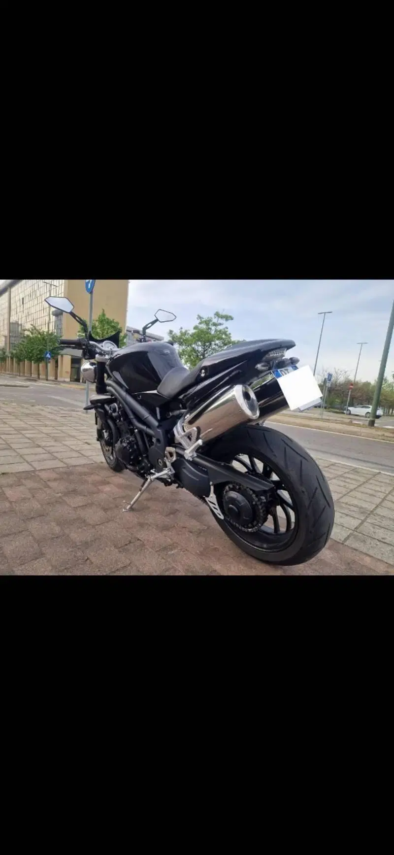 Triumph Speed Triple 1050 (2005 - 11) (6)
