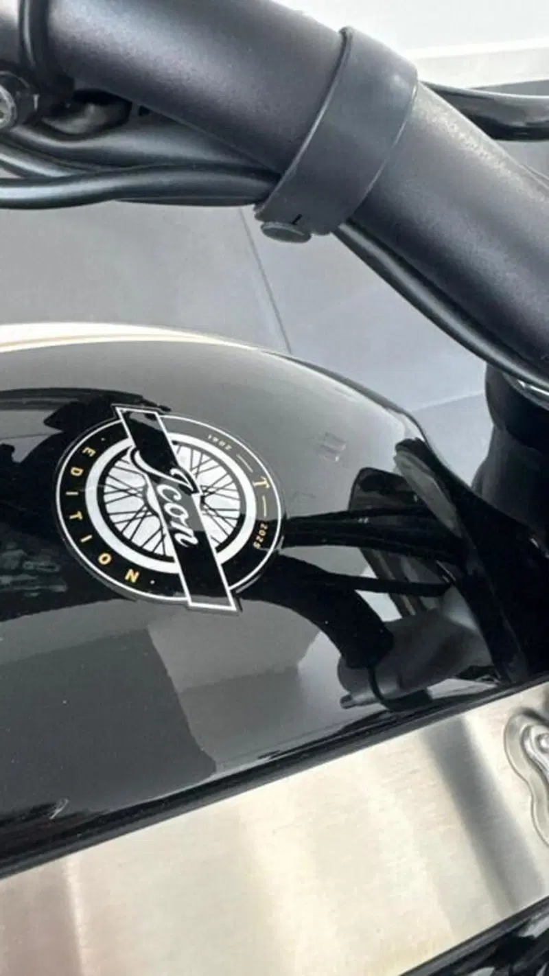 Triumph Scrambler 1200 X (2024 - 26) (4)