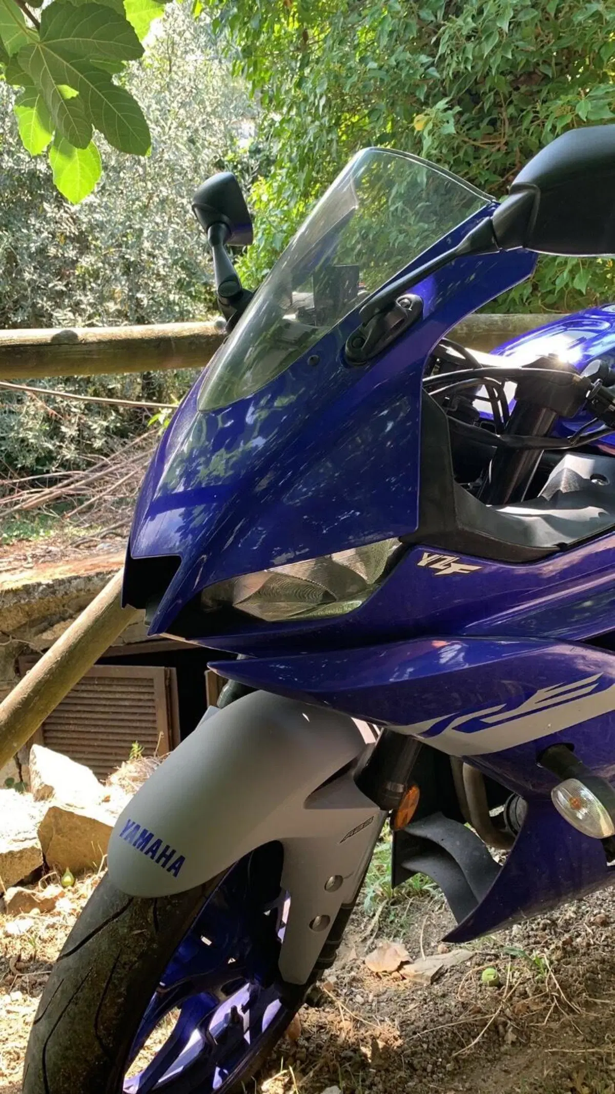 Yamaha YZF R3 (2019 - 20) (5)