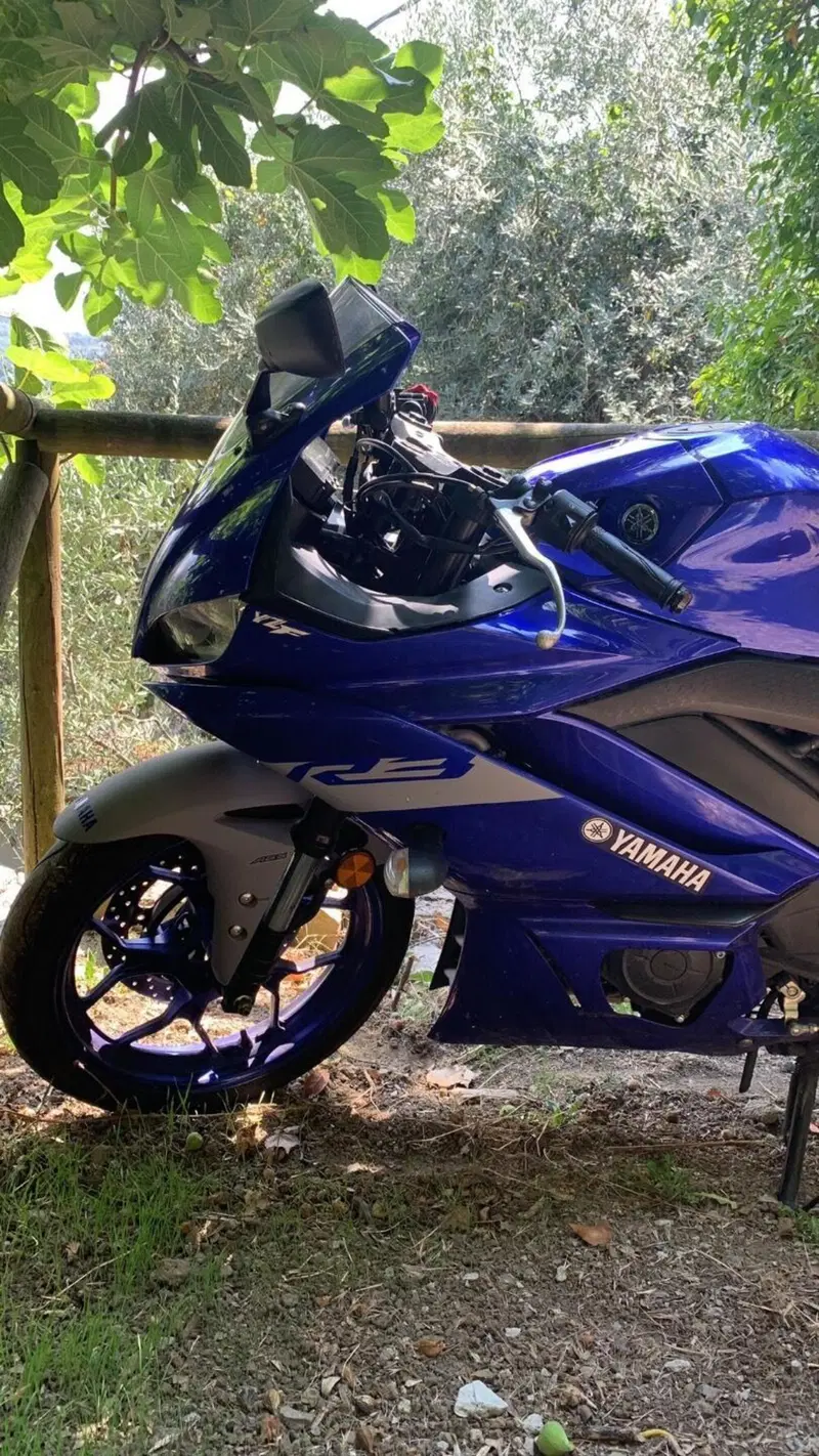 Yamaha YZF R3 (2019 - 20) (6)