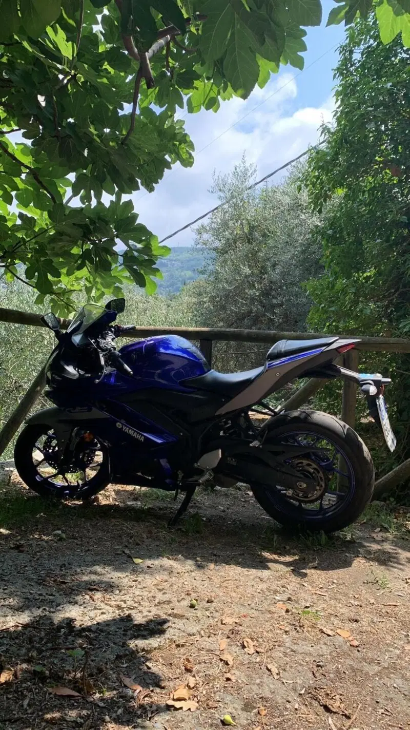Yamaha YZF R3 (2019 - 20) (7)