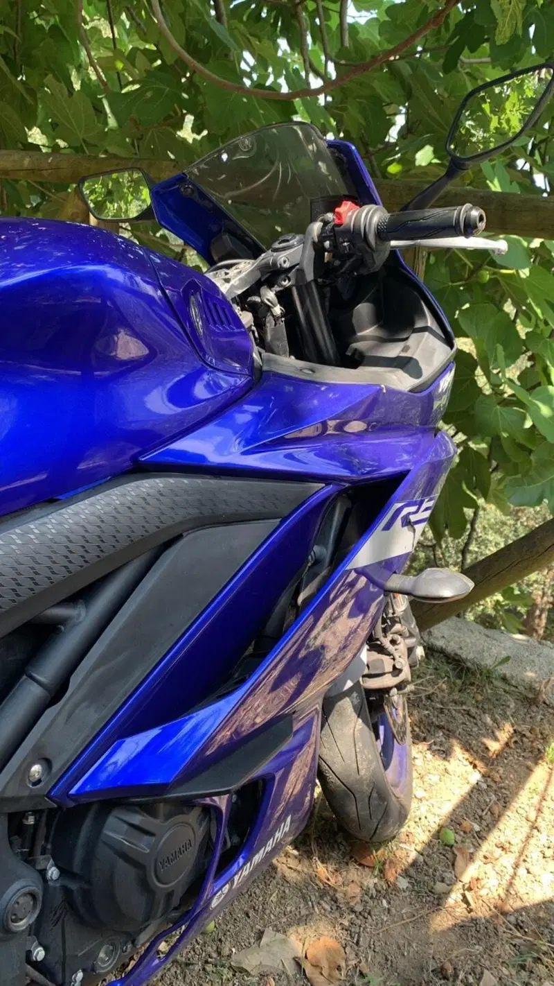 Yamaha YZF R3 (2019 - 20) (11)