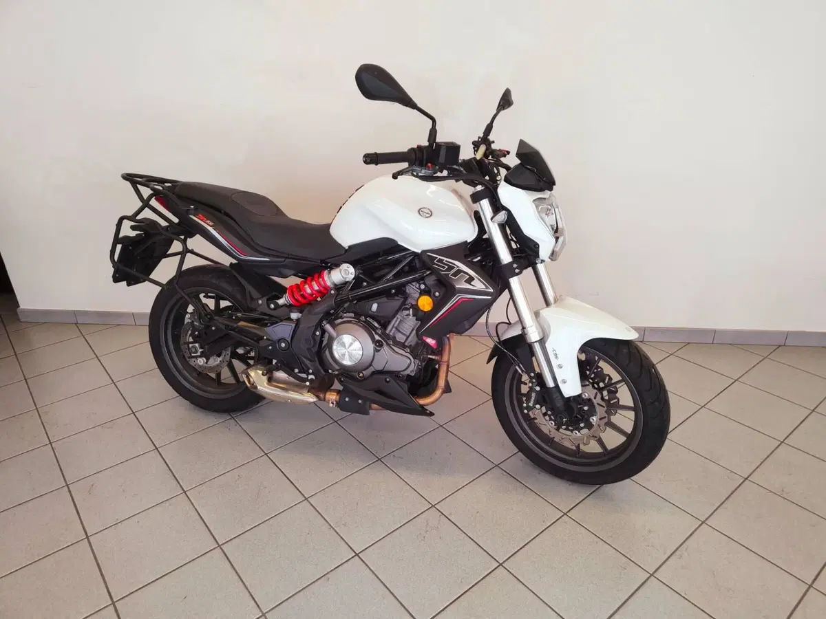 Benelli BN 302 S (2019 - 20) (2)