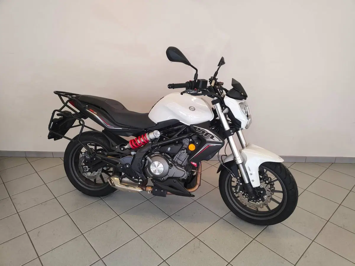 Benelli BN 302 S (2019 - 20) (13)