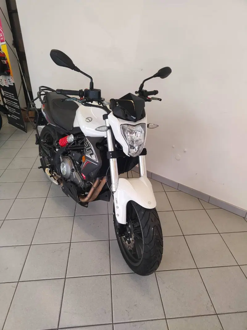 Benelli BN 302 S (2019 - 20) (17)