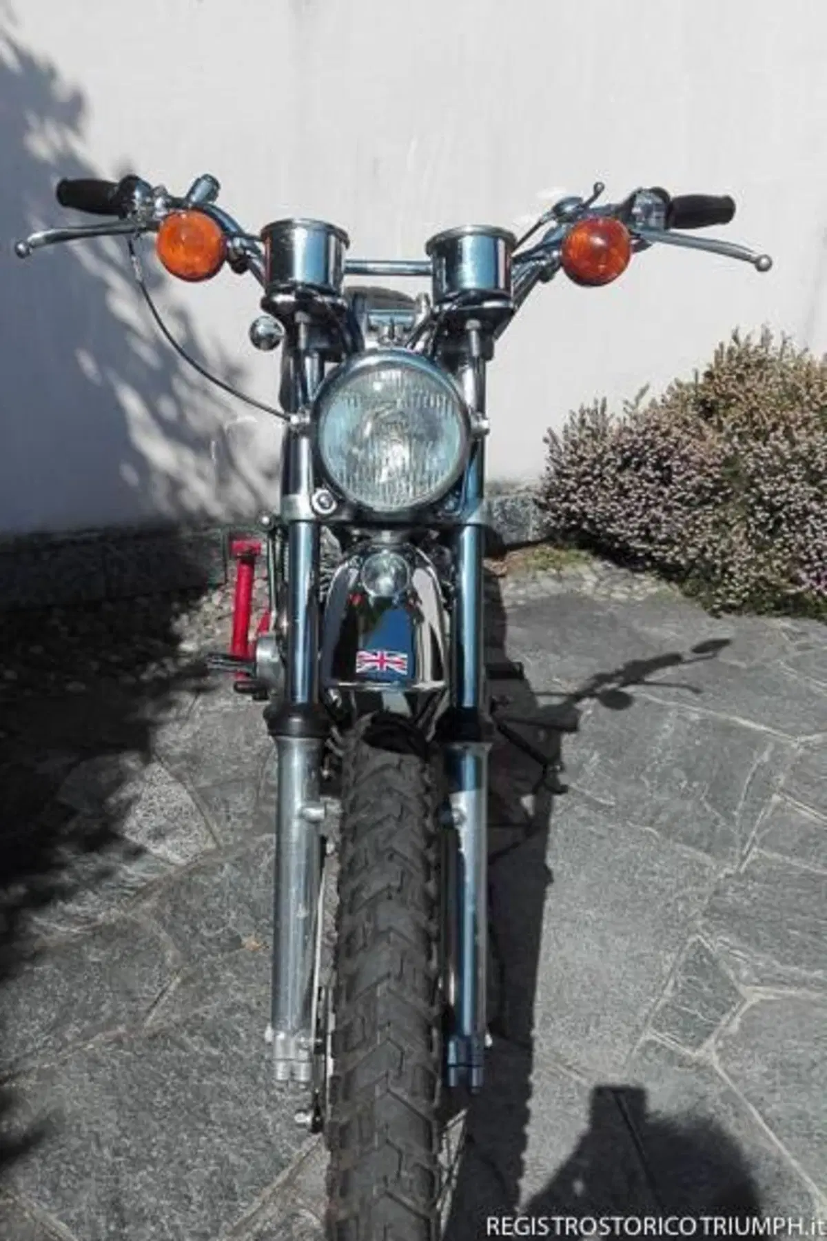 Triumph TR5T Trophy Trail (3)