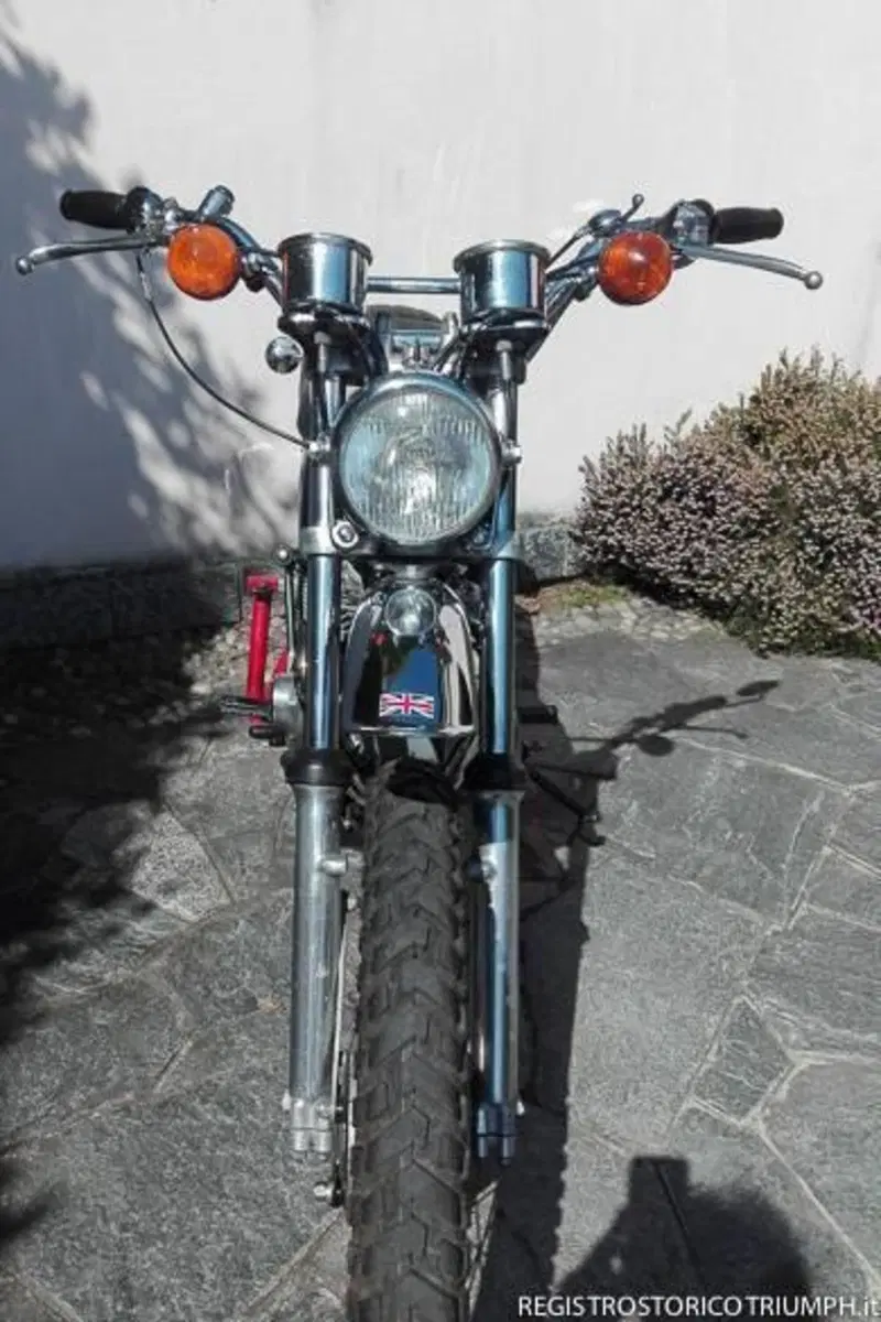 Triumph TR5T Trophy Trail (3)