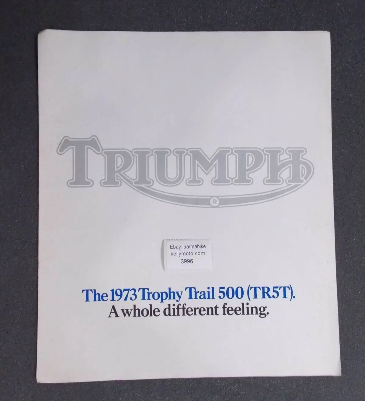 Triumph TR5T Trophy Trail (10)