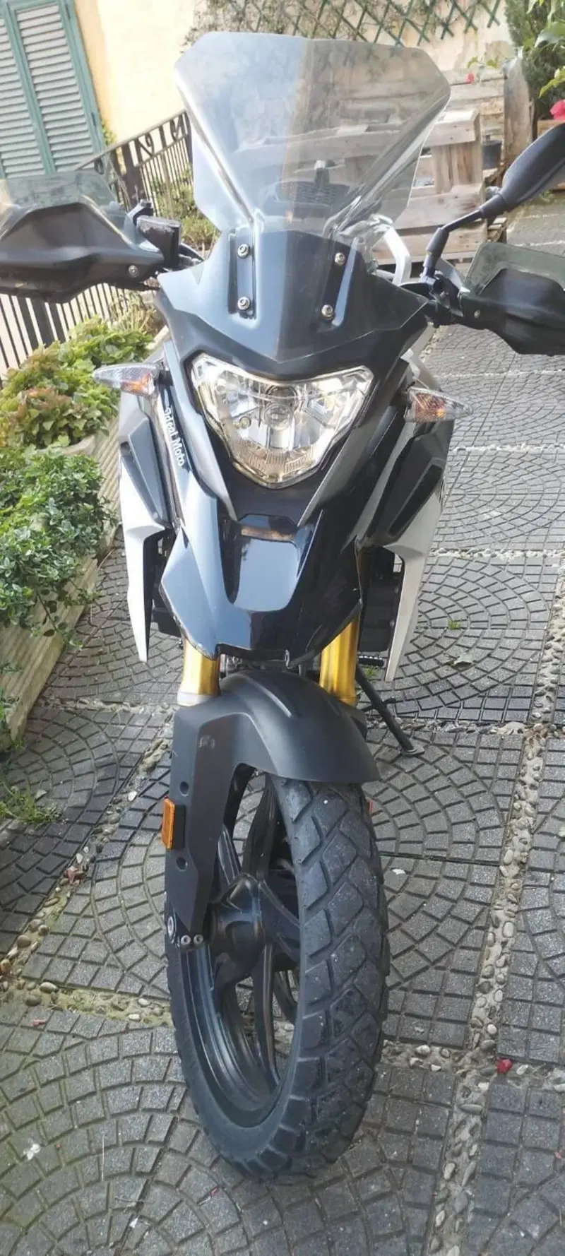 Bmw G 310 GS (2017 - 20) (2)