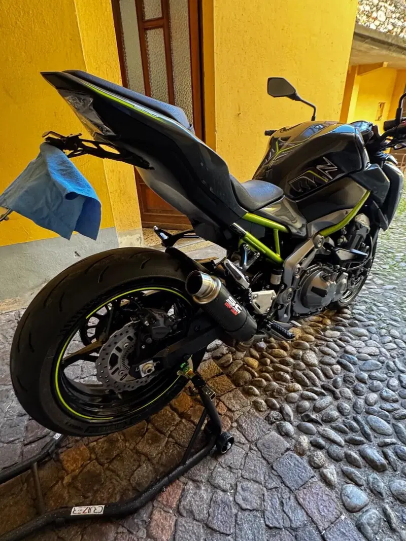 Kawasaki Z 900 A2 (2019) (2)