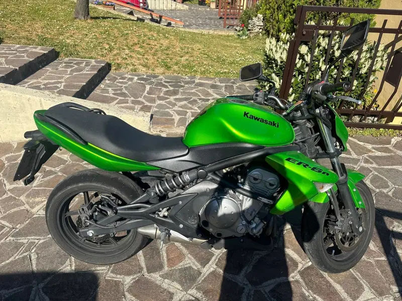 Kawasaki ER-6N (2005 - 08) (4)
