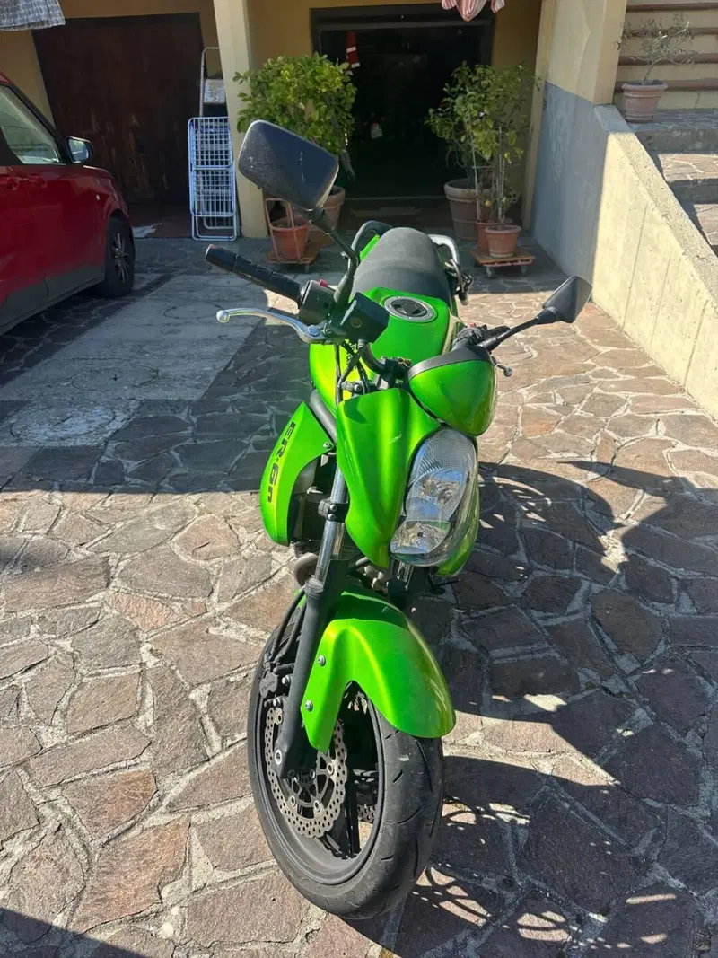 Kawasaki ER-6N (2005 - 08) (5)