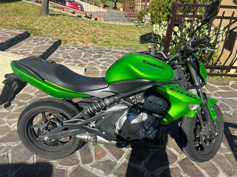 Kawasaki ER-6N (2005 - 08) (9)