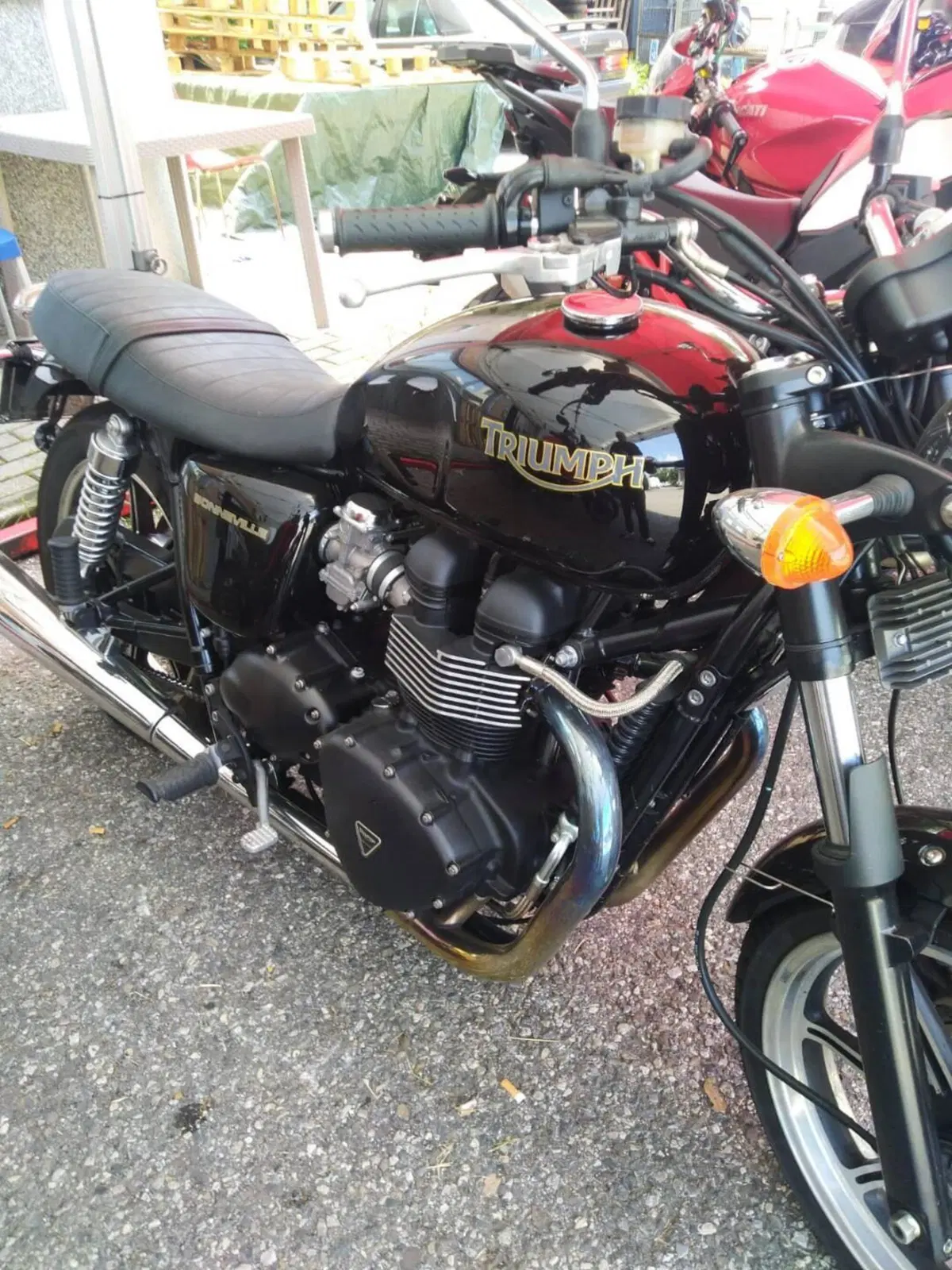 Triumph Bonneville SE (2009 - 13)