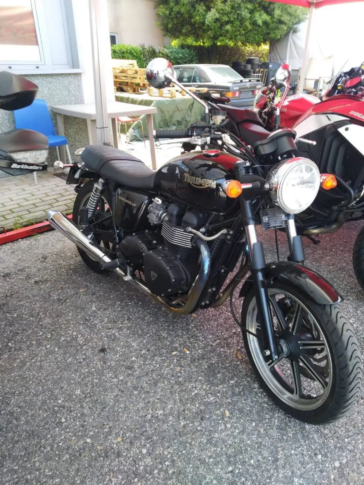 Triumph Bonneville SE (2009 - 13) (2)