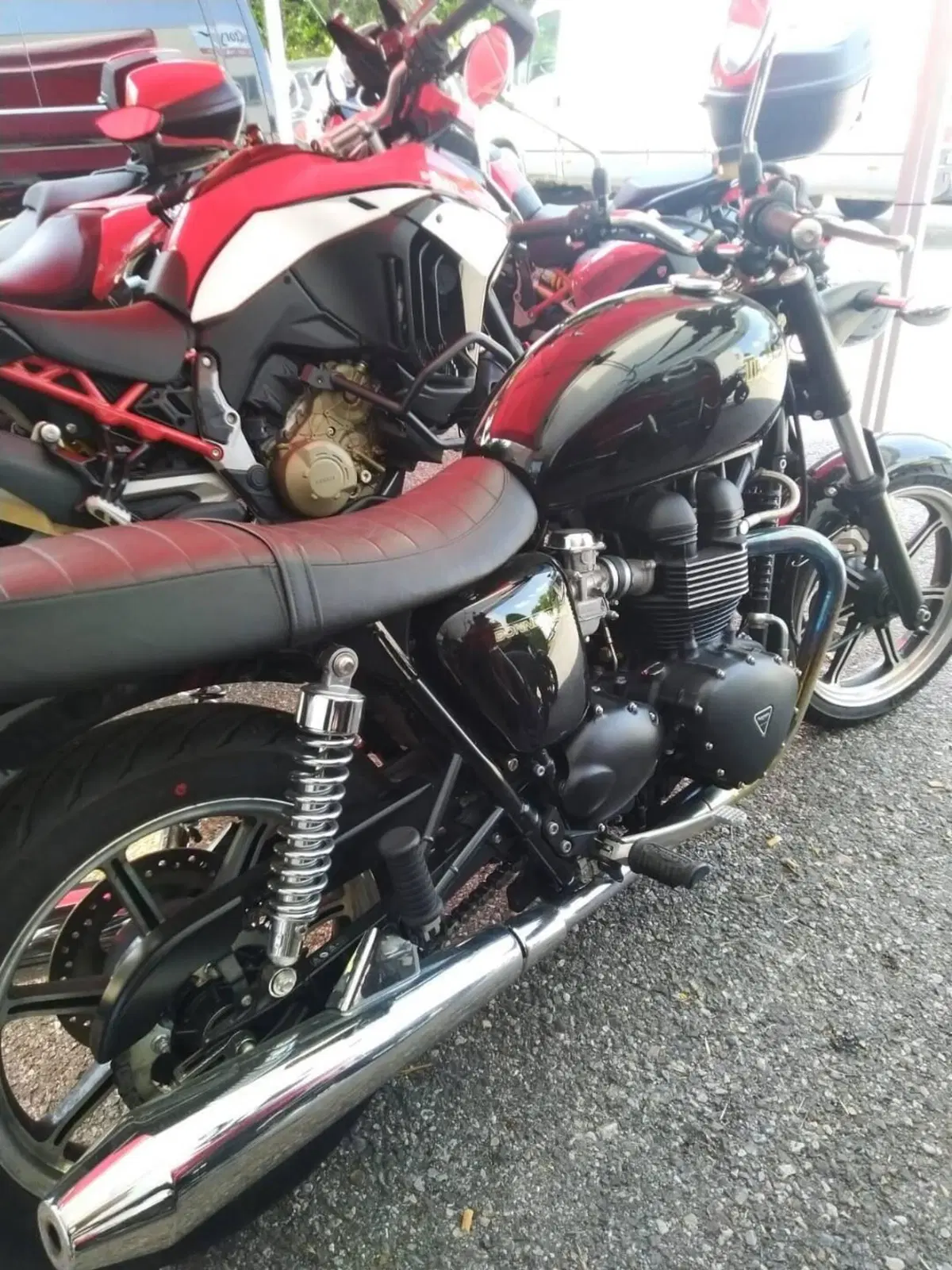 Triumph Bonneville SE (2009 - 13) (3)