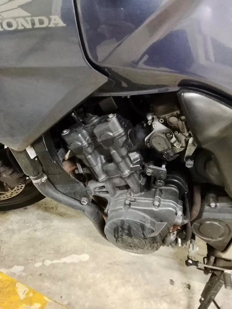 Honda CBF 600 (2004 - 06) (8)