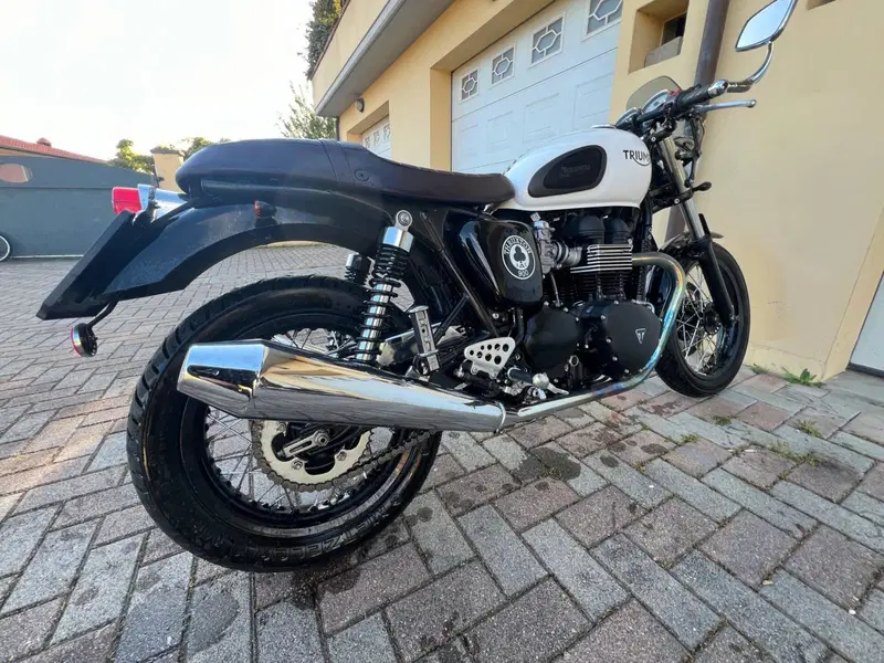 Triumph Thruxton 900 ACE (2014 - 15) (9)