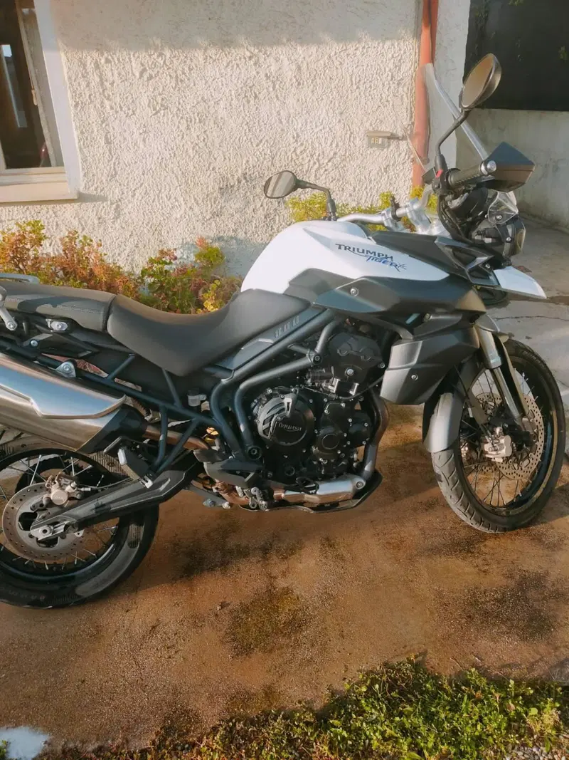 Triumph Tiger 800 XC (2011 - 12) (4)