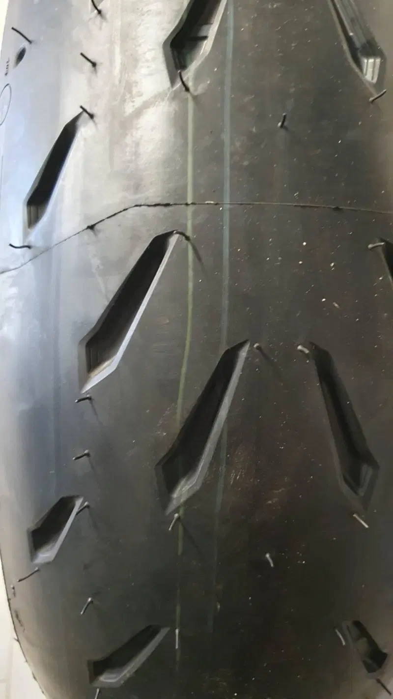 Kawasaki Ninja 1000 ZX-10R (2004 - 05) (4)