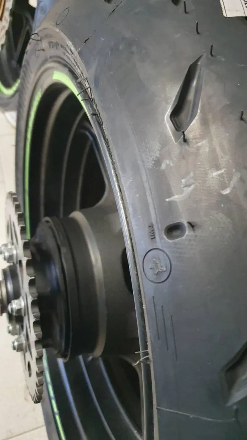 Kawasaki Ninja 1000 ZX-10R (2004 - 05) (5)