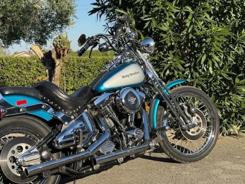 Harley-Davidson 1340 Springer (1990 - 98) - FXSTS (2)