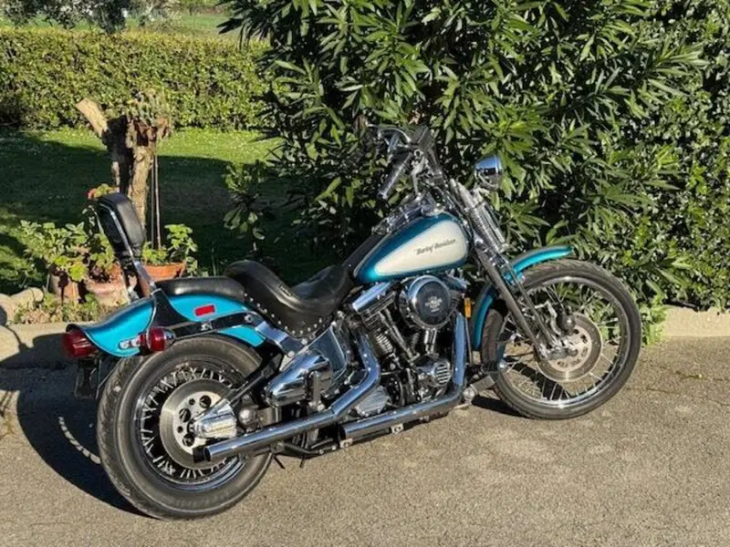 Harley-Davidson 1340 Springer (1990 - 98) - FXSTS (3)