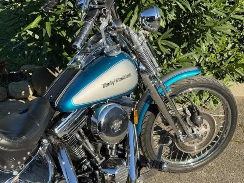 Harley-Davidson 1340 Springer (1990 - 98) - FXSTS (4)