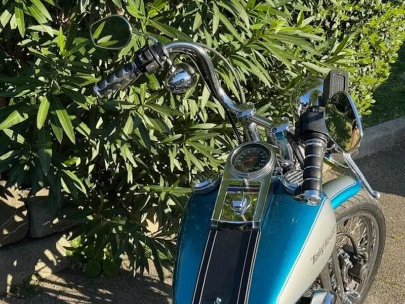 Harley-Davidson 1340 Springer (1990 - 98) - FXSTS (5)