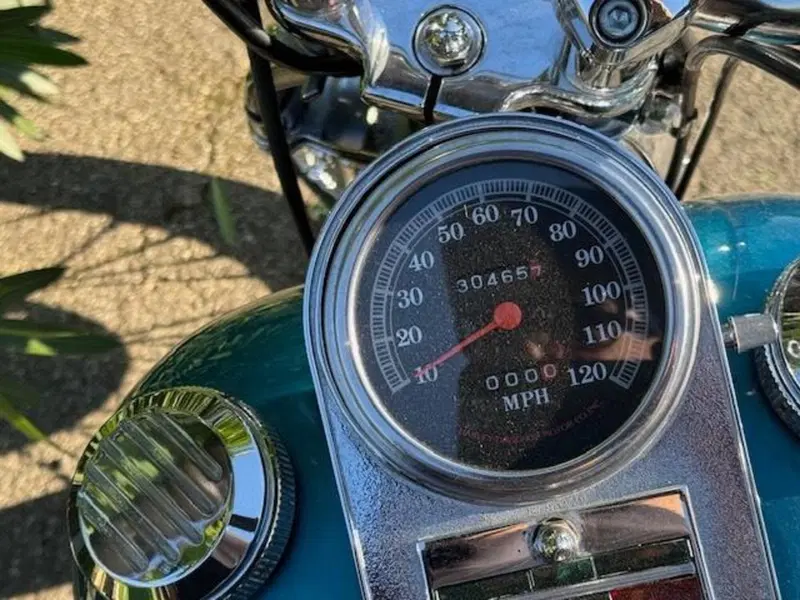 Harley-Davidson 1340 Springer (1990 - 98) - FXSTS (6)