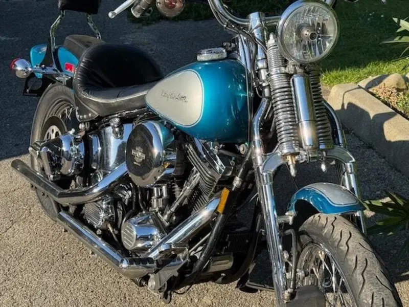 Harley-Davidson 1340 Springer (1990 - 98) - FXSTS (7)