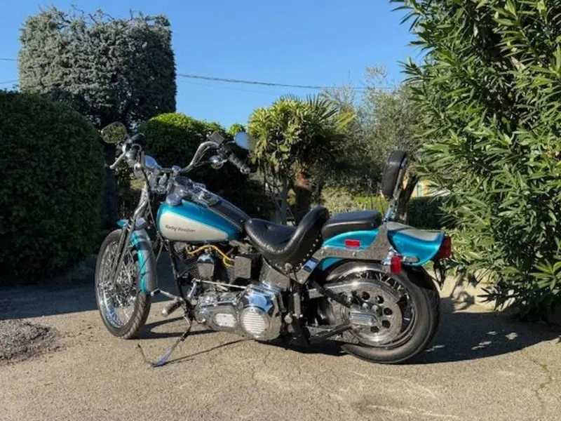 Harley-Davidson 1340 Springer (1990 - 98) - FXSTS (8)