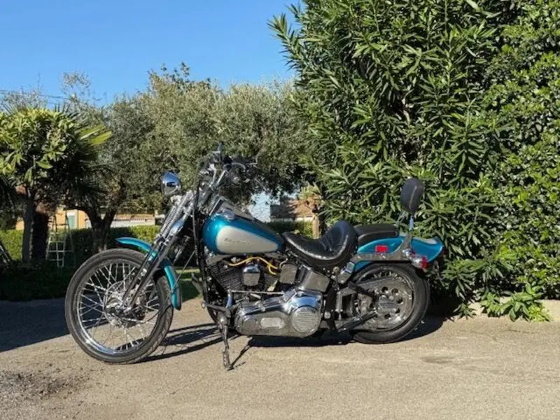 Harley-Davidson 1340 Springer (1990 - 98) - FXSTS (9)