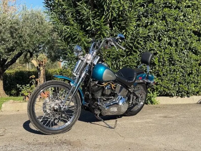 Harley-Davidson 1340 Springer (1990 - 98) - FXSTS (10)
