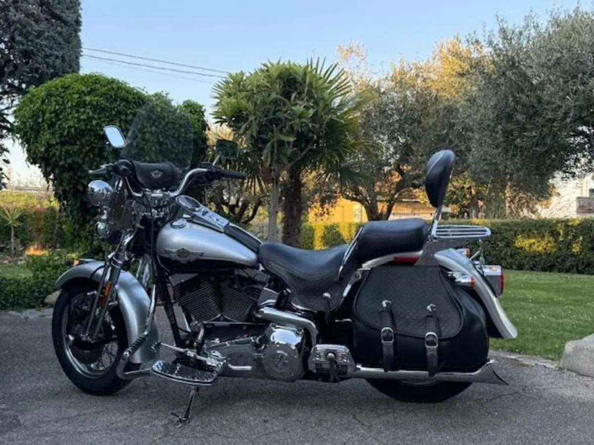 Harley-Davidson 1450 Heritage Springer (2000 - 03) - FLSTS (13)
