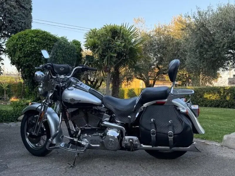 Harley-Davidson 1450 Heritage Springer (2000 - 03) - FLSTS (13)