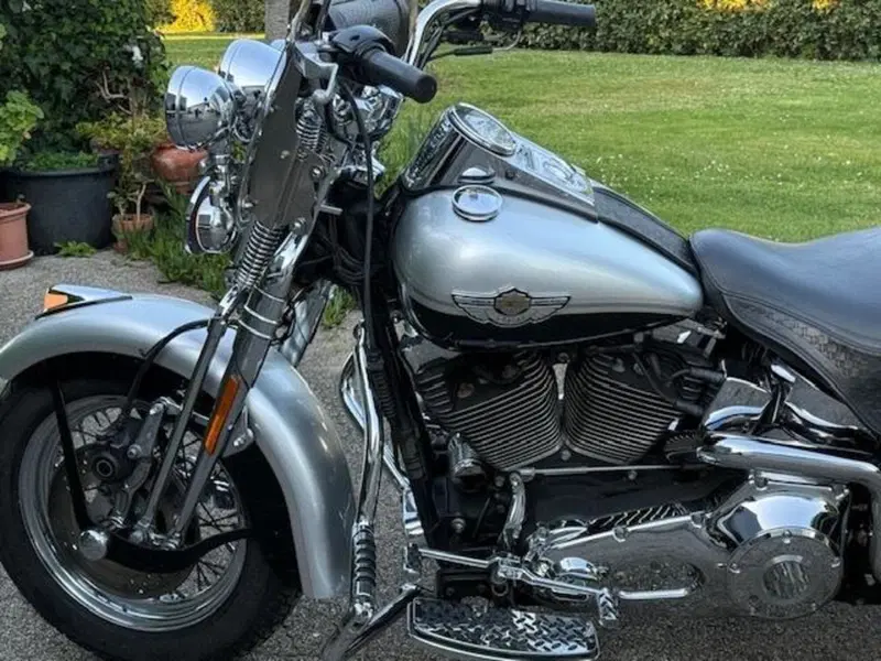 Harley-Davidson 1450 Heritage Springer (2000 - 03) - FLSTS (15)
