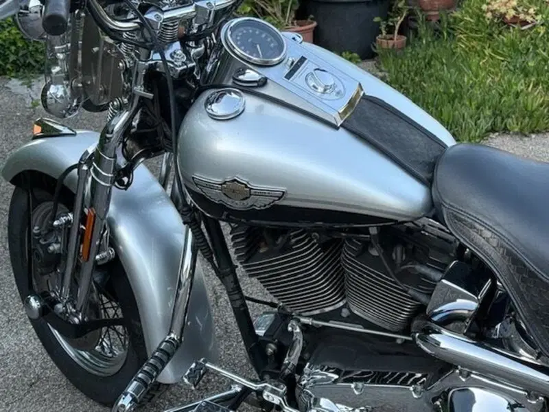 Harley-Davidson 1450 Heritage Springer (2000 - 03) - FLSTS (17)